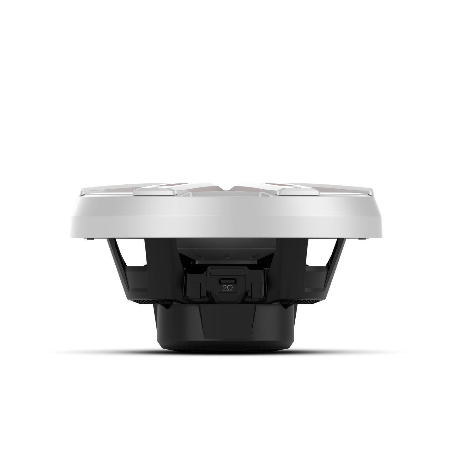 Rockford Fosgate M2D4-10S