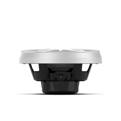 Rockford Fosgate M2D4-10S