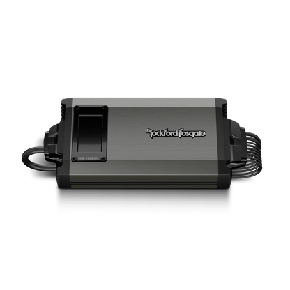 Rockford Fosgate M5-1000X1