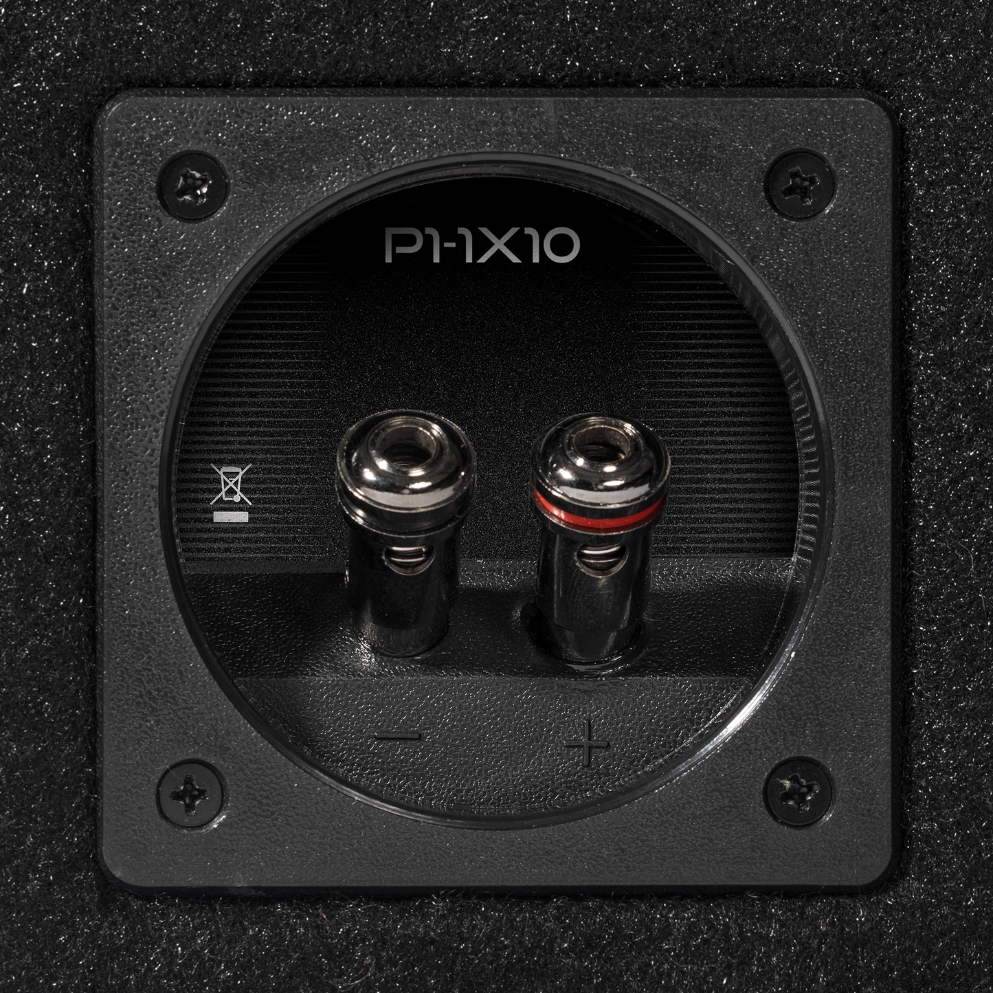 Rockford Fosgate P1-1X10
