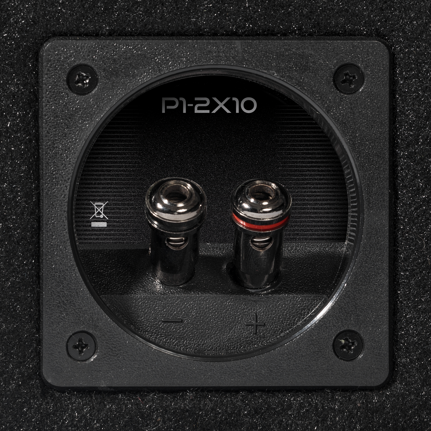 Rockford Fosgate P1-2X10