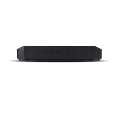 Rockford Fosgate P1000X1bd