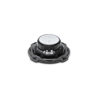 Rockford Fosgate P16