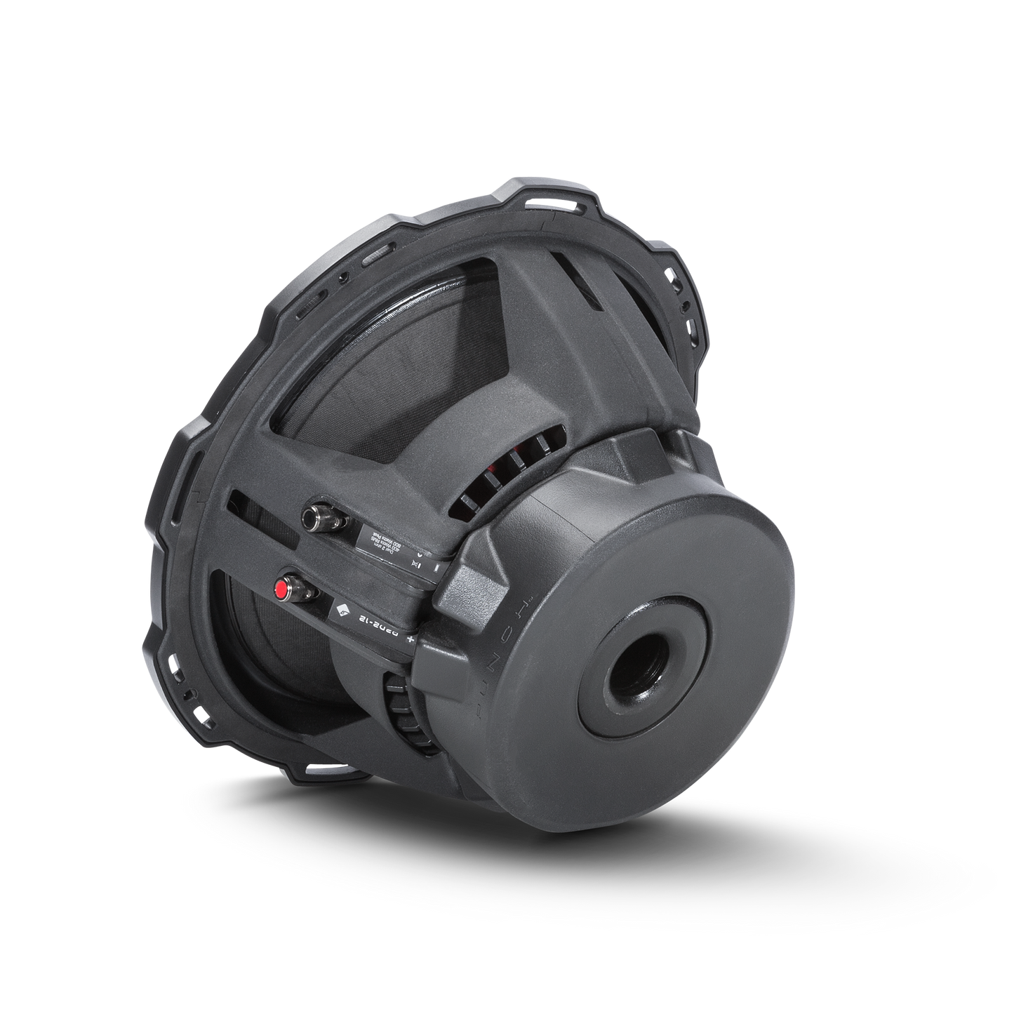 Rockford Fosgate P2D2-12