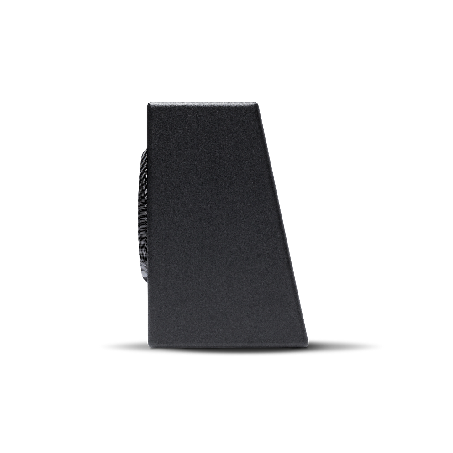 Rockford Fosgate P300-10