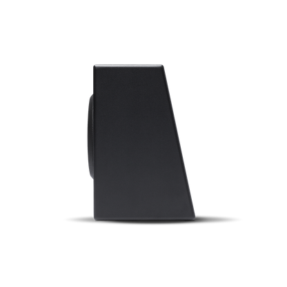 Rockford Fosgate P300-10