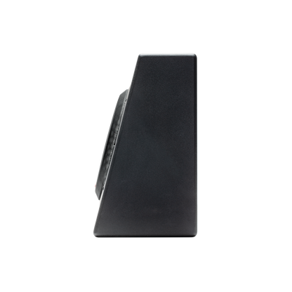 Rockford Fosgate P300-12T