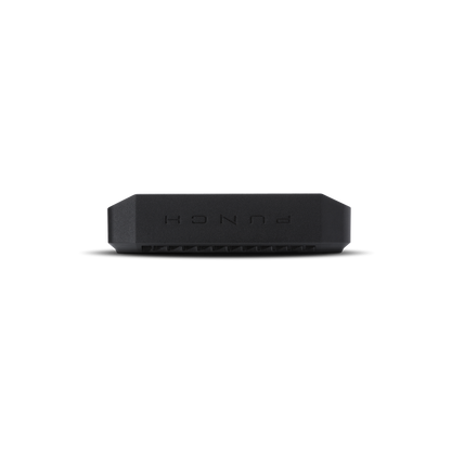 Rockford Fosgate P300X1