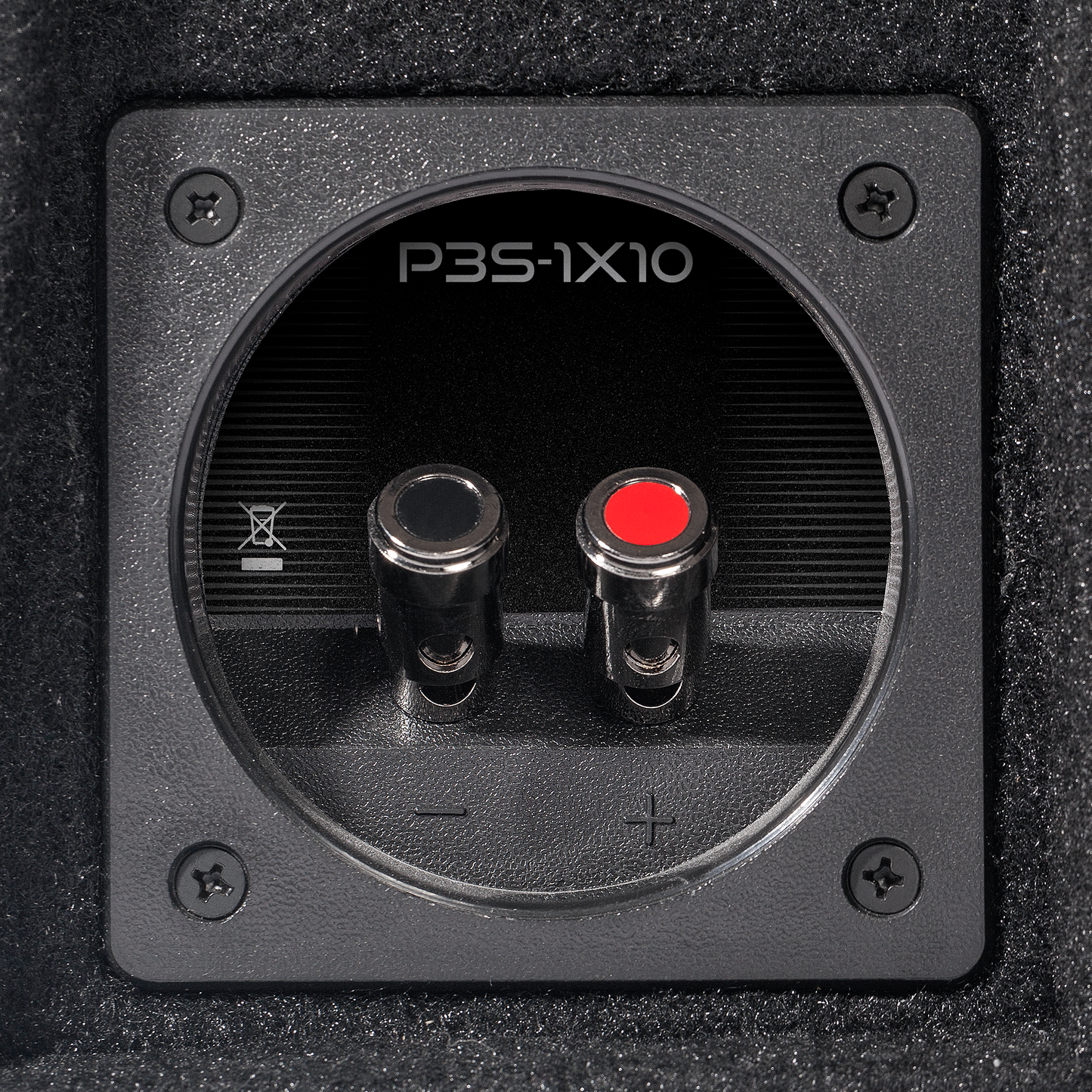 Rockford Fosgate P3S-1X10