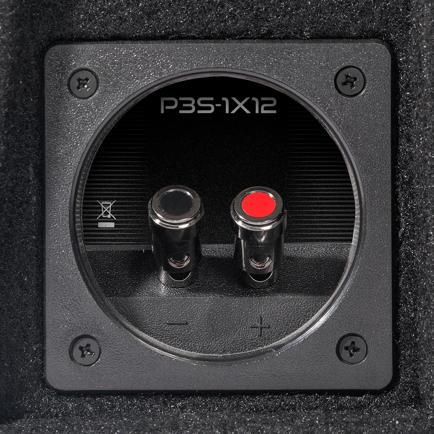 Rockford Fosgate P3S-1X12