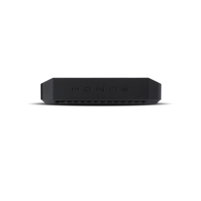 Rockford Fosgate P500X1bd