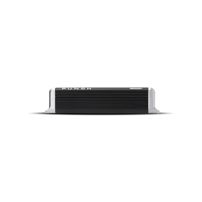 Rockford Fosgate PBR300X1