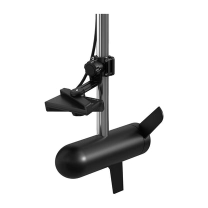 LiveScope Transducer