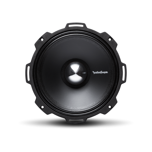 Rockford Fosgate PPS4-10