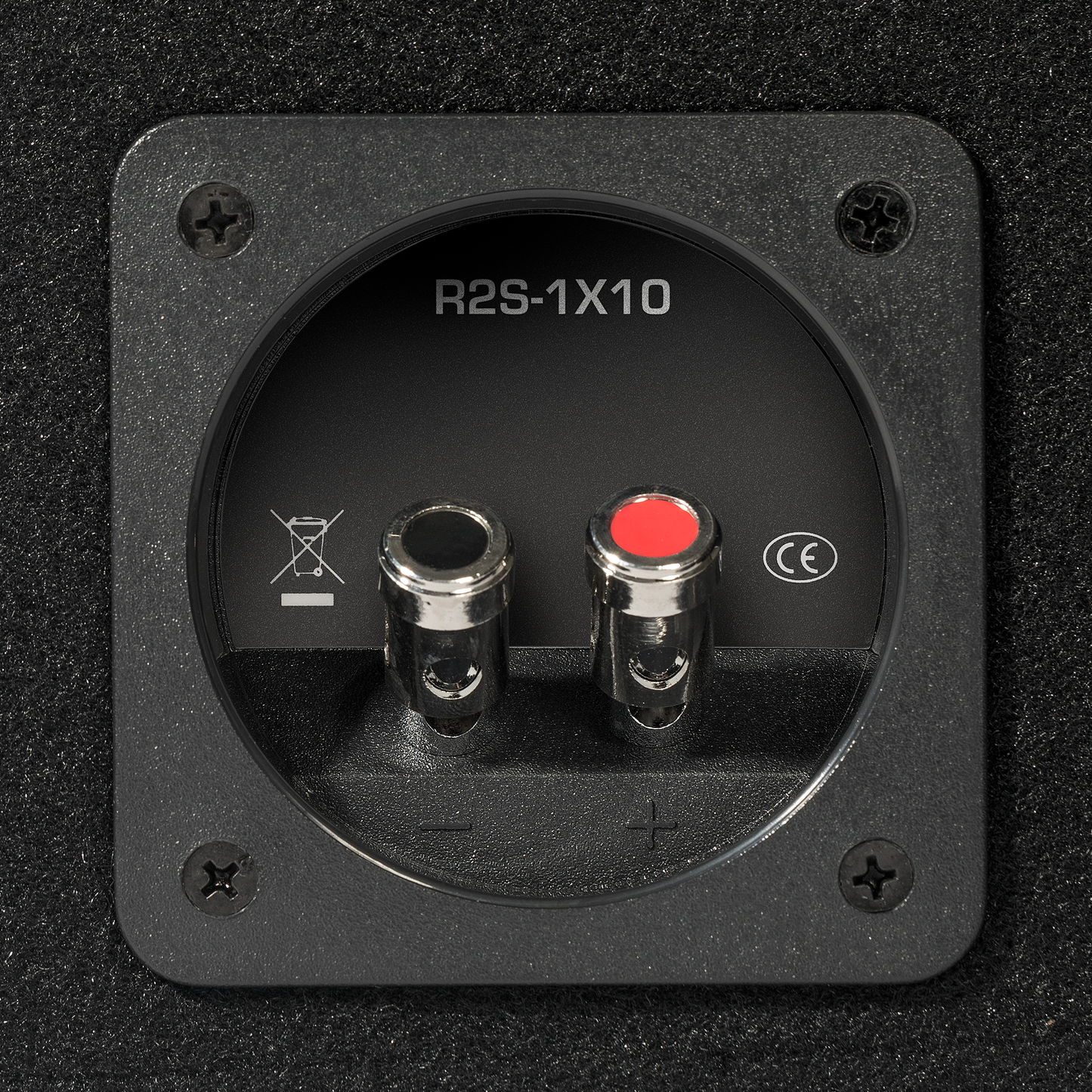 Rockford Fosgate R2S-1X10