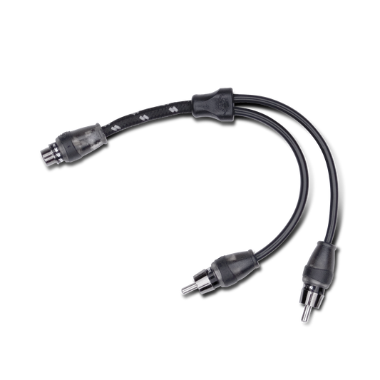 Rockford Fosgate RFITY-1F