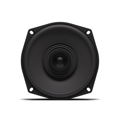 Rockford Fosgate RNGR18-STG1