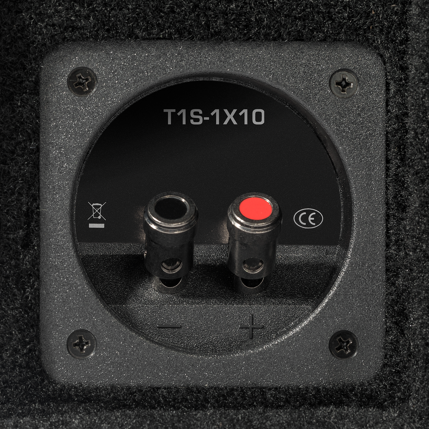 Rockford Fosgate T1S-1X10