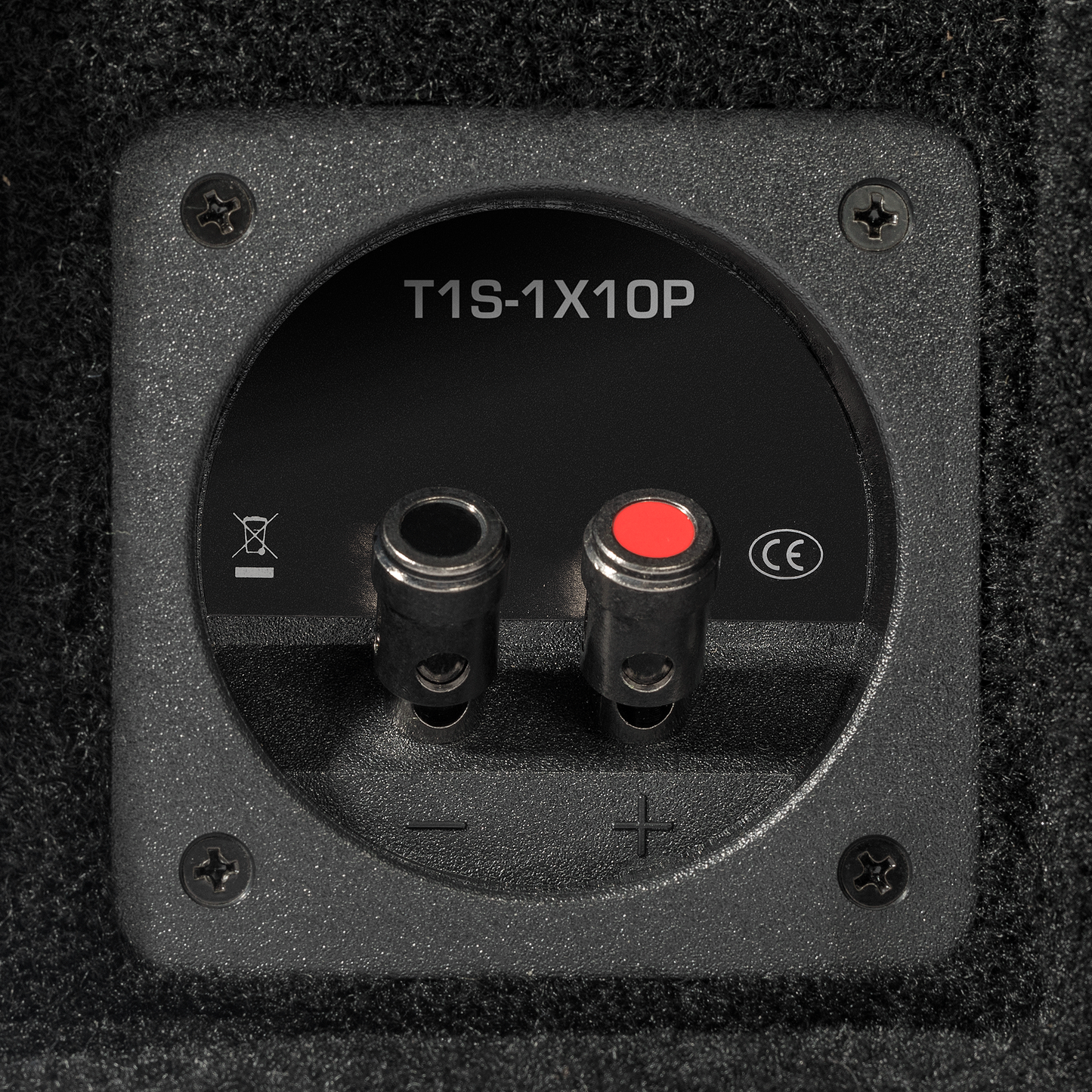 Rockford Fosgate 1X10P